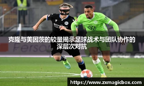 365WM完美体育官网