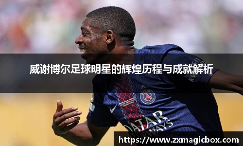 365WM完美体育官网