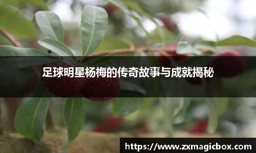足球明星杨梅的传奇故事与成就揭秘